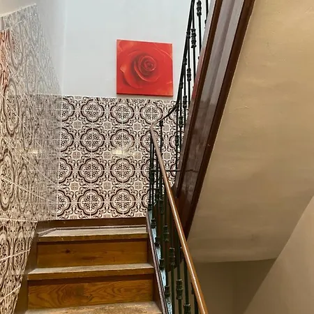 Tomas Surf Shelter *